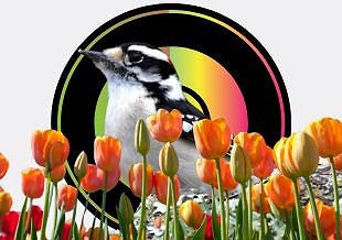 Three Spring Weekend Events!