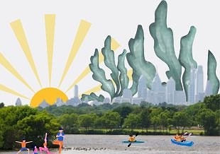 Summer Fun Events for Kids This Weekend!
