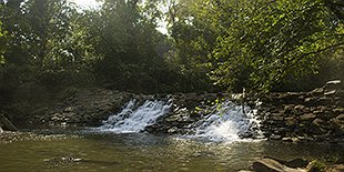 Cobbs Creek to John Heinz NWR