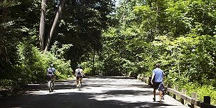 Forbidden Drive-Northern Trailhead