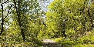 Tacony Creek Park