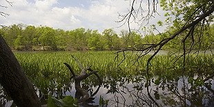 Bristol Marsh Nature Preserve