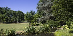 Glendinning Rock Garden