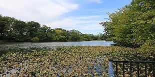 Haddon Lake Park