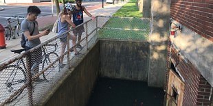 Urban Fish Pond