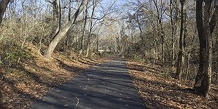 Tacony Creek Park-Bingham St. Gateway