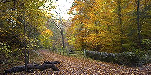 Wissahickon Valley Park