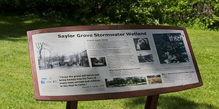 Saylor Grove