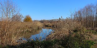 TrailOff: The Land Remembers (John Heinz Refuge)