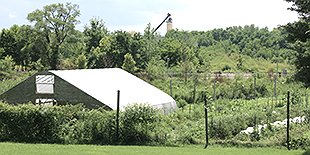 Sankofa Community Farm