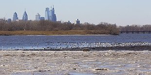 Heritage Park and Tippin's Pond