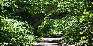 Mt Airy Ave Trailhead Wissahickon Valley Park