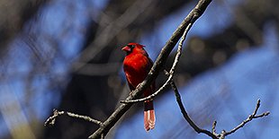 Pennypack Park and Bike Trail