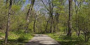 Tacony Creek Park-Whitaker Gateway