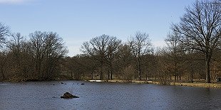 Concourse Lake Native Plant Park